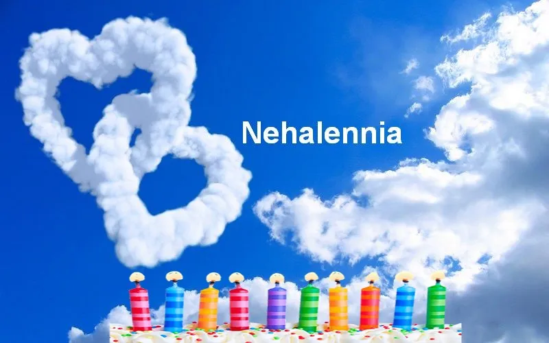 Alles Gute zum Geburtstag Nehalennia - Alles Gute zum Geburtstag Nehalennia