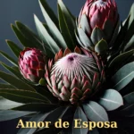 Imagem de aniversário para marido com bolo de mousse escuro e amêndoas tostadas