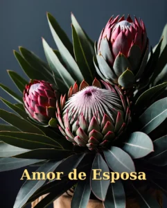 Aniversário do Marido com Amor de Esposa