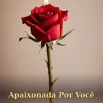 Única rosa vermelha perfeita com vela de aniversário ao lado para namorado