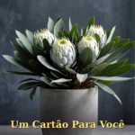 Arranjo de eucalipto e prótea branca em vaso de concreto para aniversário de amigo