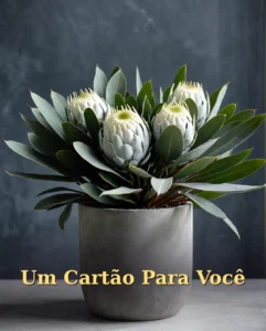 Cartão de Aniversário para Amigo