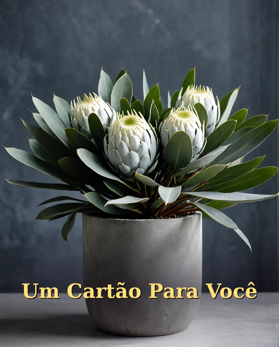 Cartão de Aniversário para Amigo
