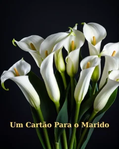 Cartão de Aniversário para Marido