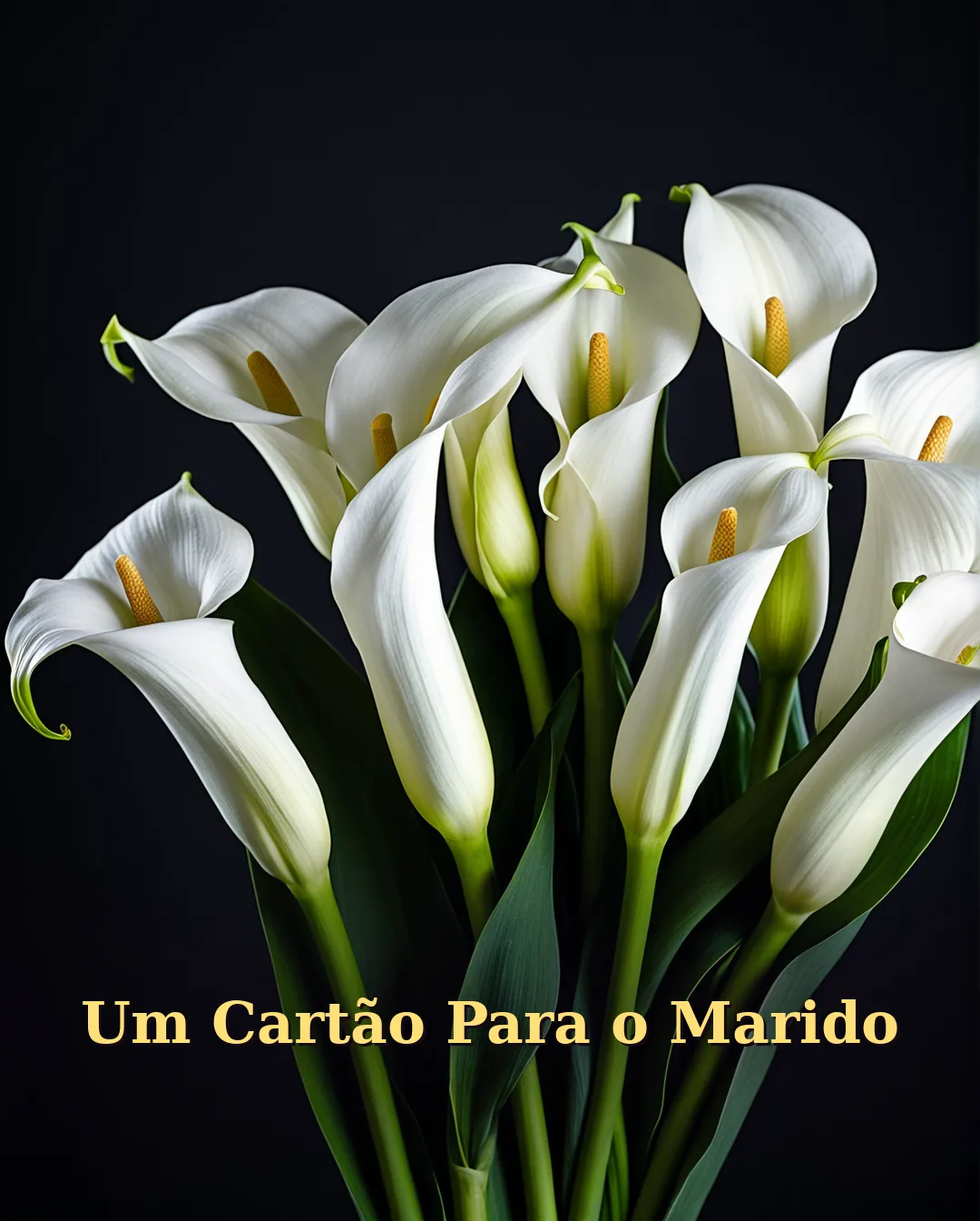 Cartão de Aniversário para Marido