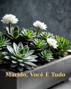 Declaração de Aniversário para Marido