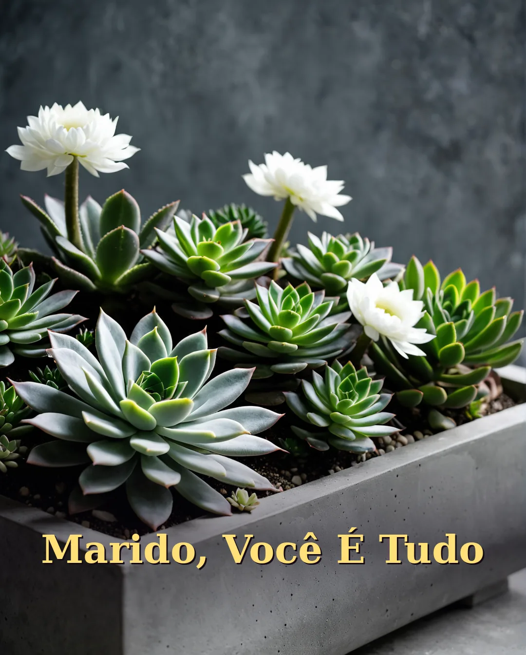 Declaração de Aniversário para Marido