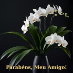 Arranjo de folhas tropicais escuras com orquídeas brancas em vaso preto fosco para aniversário de amigo