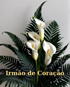 Aniversário do Irmão de Coração