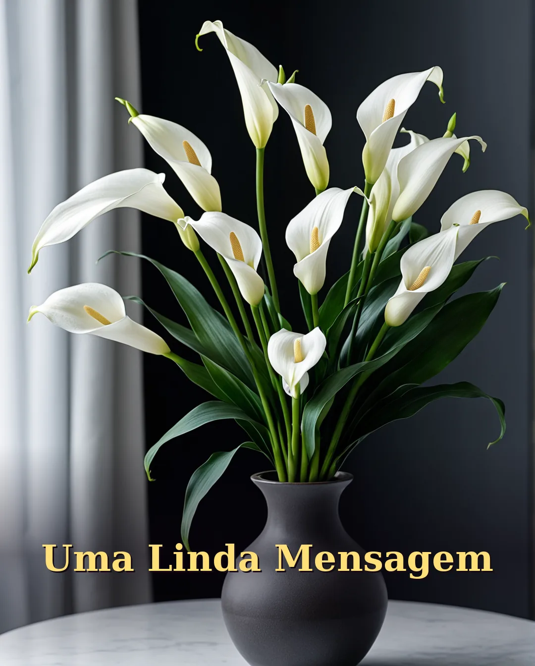 Linda Mensagem de Aniversário para Amigo
