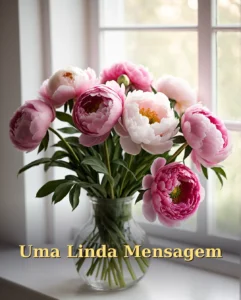 Linda Mensagem para Pessoa Especial