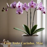 Imagem de aniversário para mãe com fatia de bolo em prato de porcelana e rosa