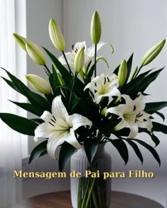 Mensagem de Pai para Filho