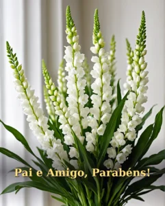 Pai que é Amigo faz Aniversário