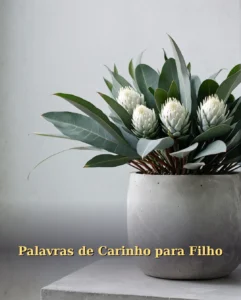 Palavras de Aniversário para Filho