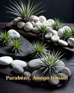 Parabéns, Amigo Irmão
