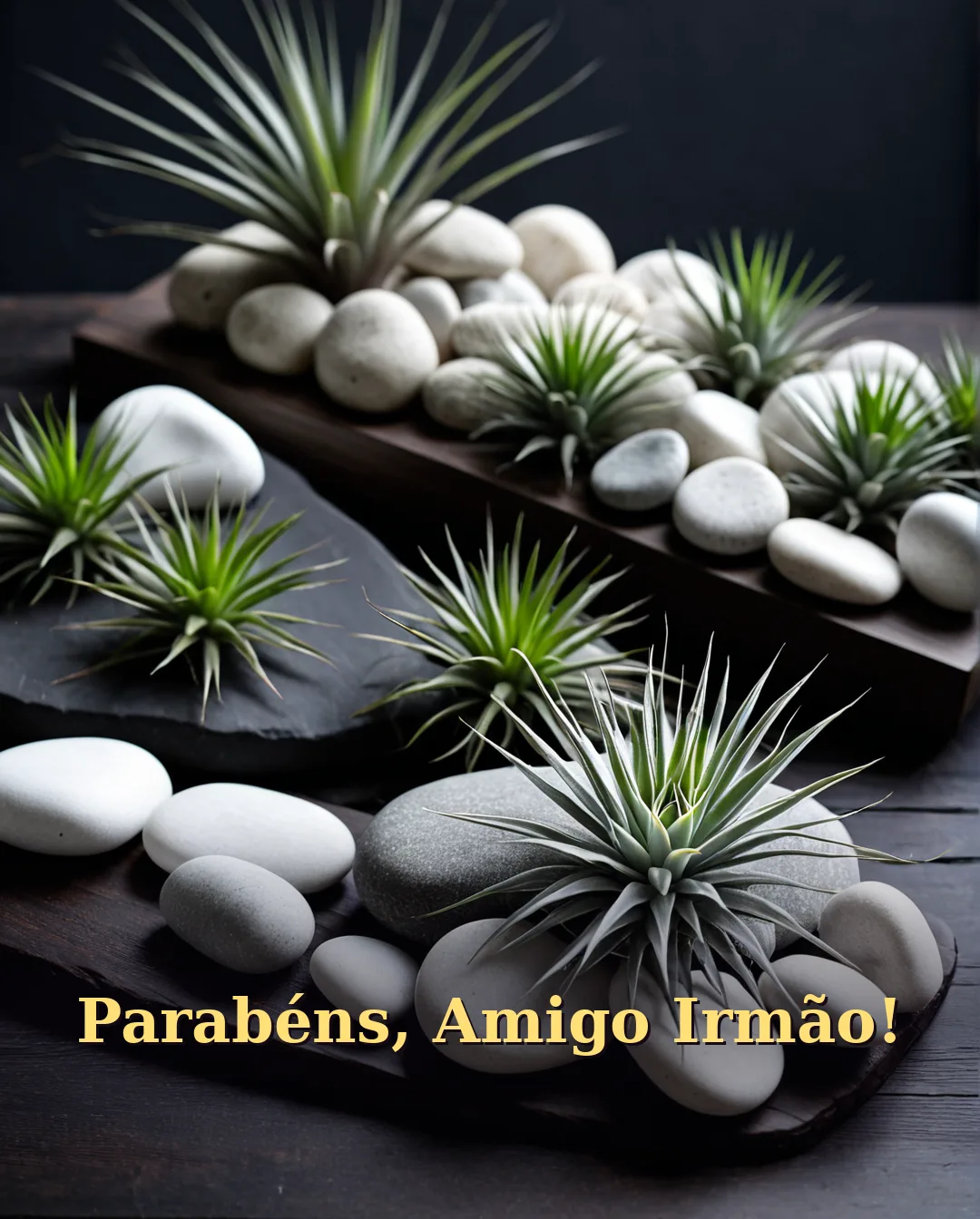 Parabéns, Amigo Irmão