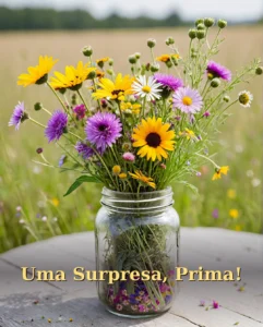Surpresa de Aniversário para Prima