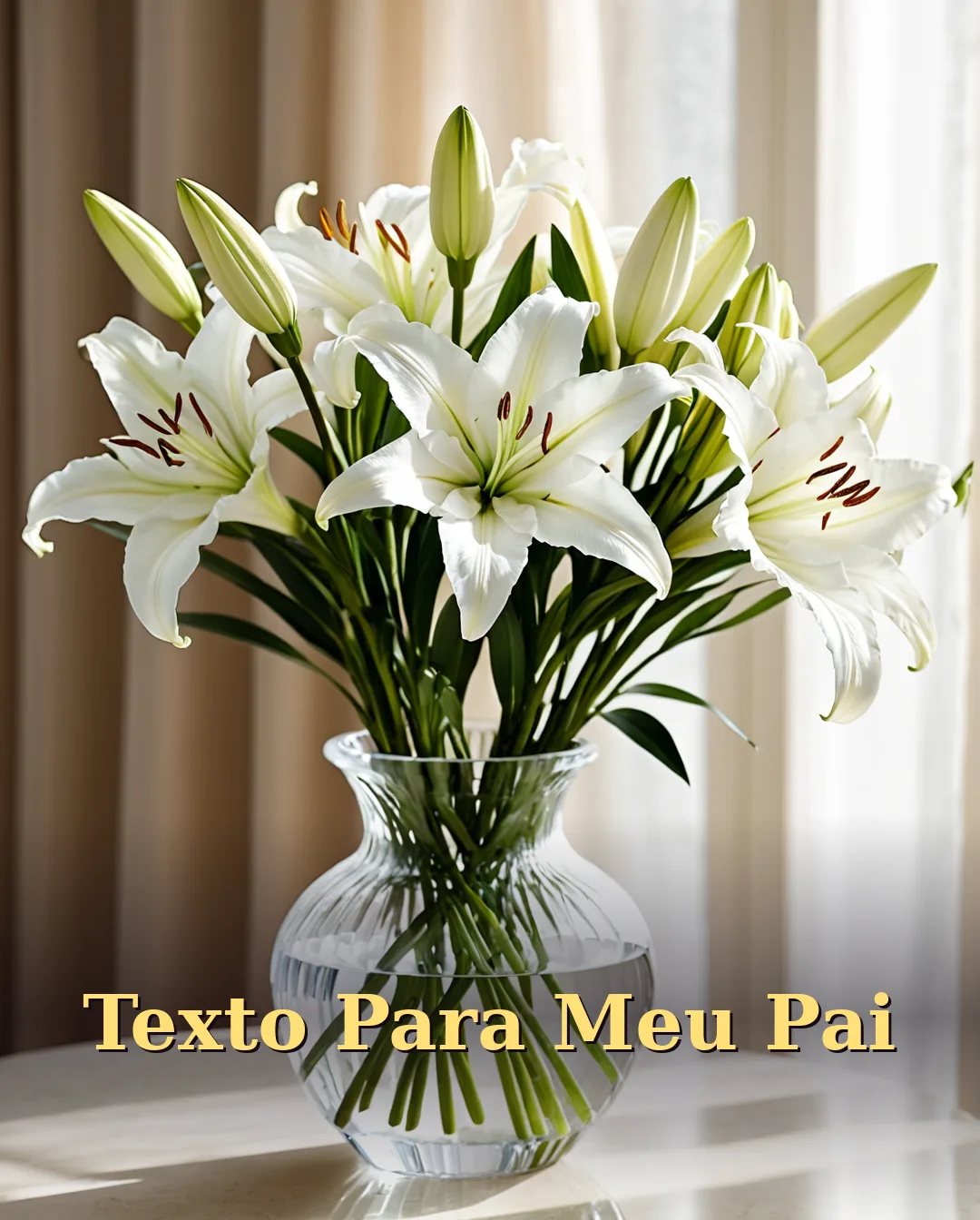 Texto de Aniversário para Pai
