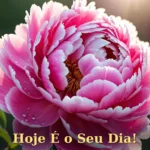 Homenagem de aniversário para filha com arranjo de rosas cor-de-rosa e fundo iluminado